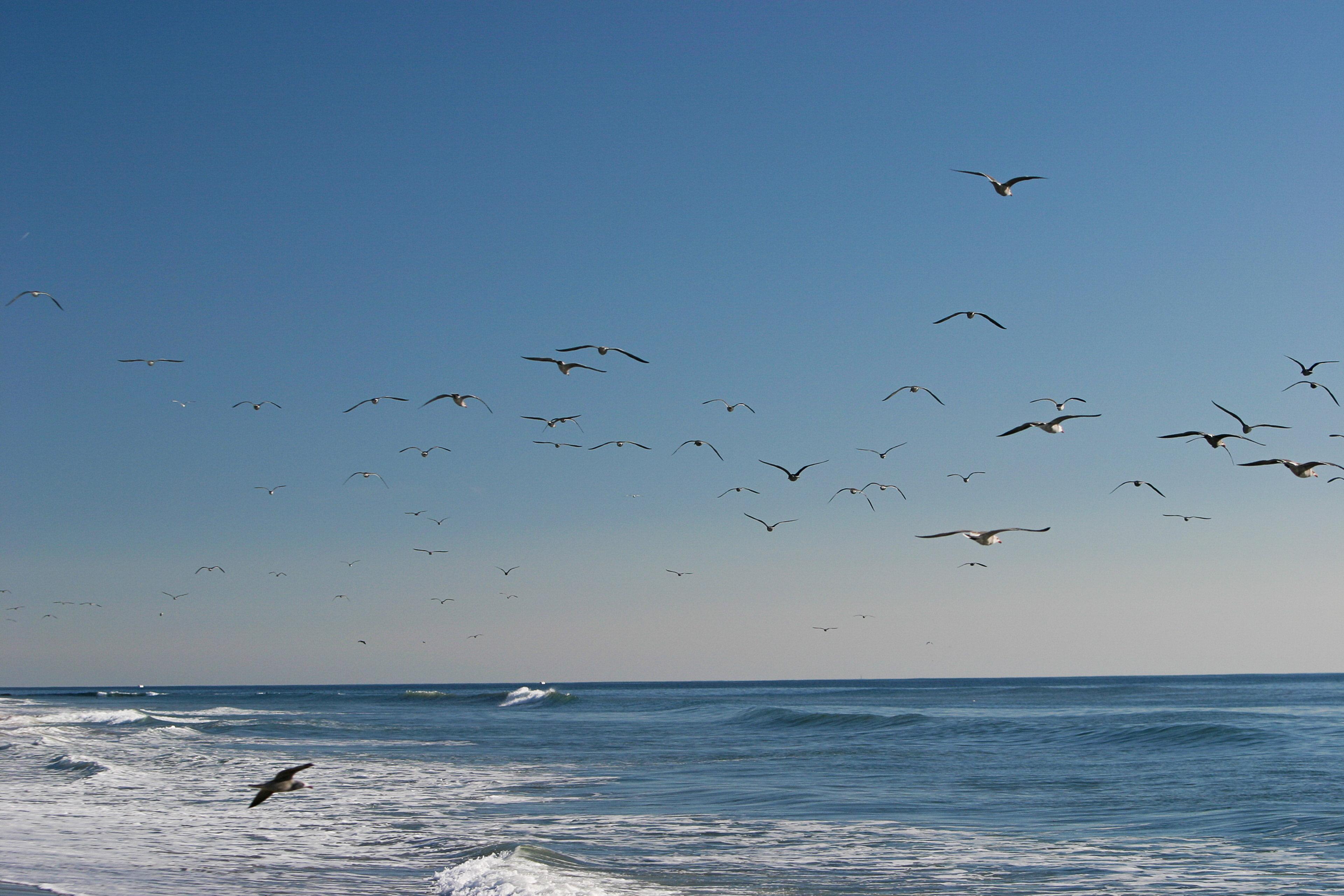 Holiday Inn Express & Suites Carpinteria By Ihg Bagian luar foto